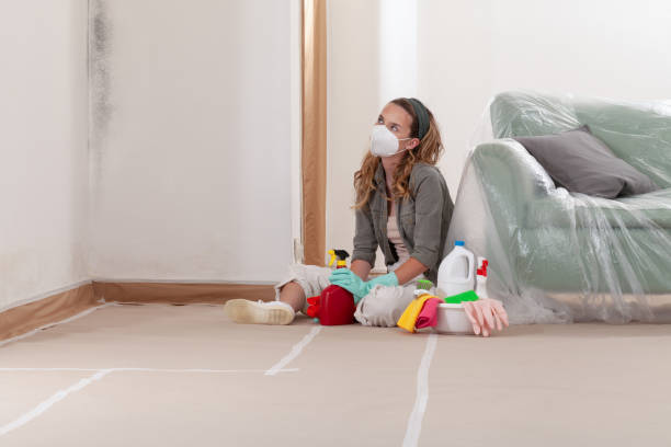 Reliable Mold Remediation contractor in Montclair, VA by Cheap Mold Removal