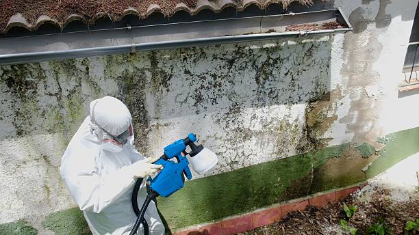 Trusted Mold Remediation service in Montclair, VA - Cheap Mold Removal